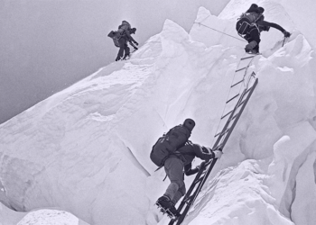 Kontinuirano učenje: Kako maksimizirati ljudske resurse?