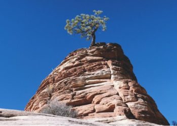 Otpornost kao imperativ: uspjeh u nestabilnim vremenima