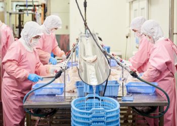 Toyota-in proizvodni sistem čini smrznute ribe svježijim