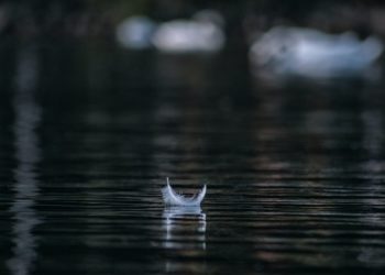 HBR: Što ste više zauzeti, više vam treba vremena za odmor