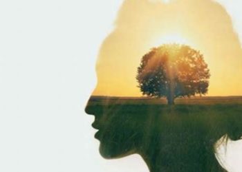 Kako odmoriti mozak za prijeko potreban oporavak?