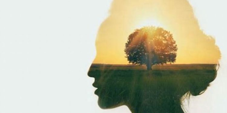 Kako odmoriti mozak za prijeko potreban oporavak?