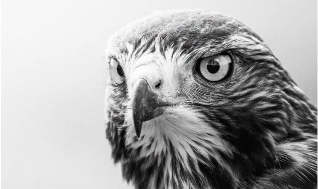 Jeste li mikromenadžer? Ili samo radite za jednog? Evo 5 načina da to saznate