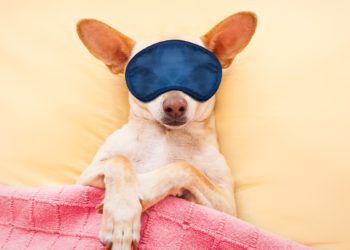 Preformulišite vaše mišljenje o brizi o sebi