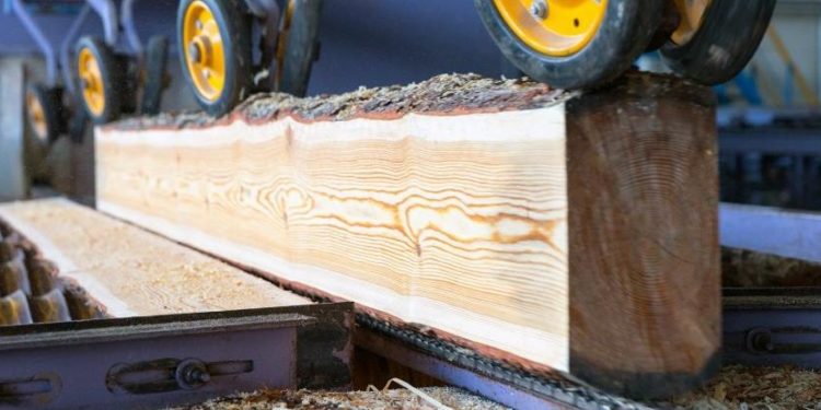 “PIT DrwoCon 2023”: Apel konkurentne i prepoznatljive drvne industrije BiH