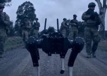 Upravljanje psima robotima pomoću moždanih signala sada je moguće