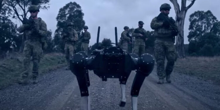 Upravljanje psima robotima pomoću moždanih signala sada je moguće