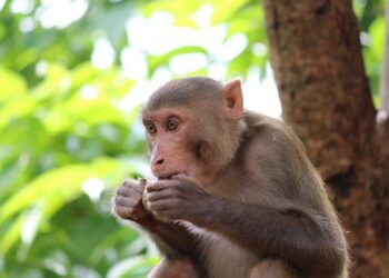 Oblikuje li nas ono što jedemo?